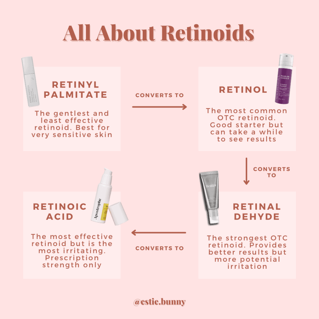 Infographic detailing the difference between retinol vs retinoid. Breaking down the four main types of retinoids: retinyl palmitate, retinol, retinaldehyde, and retinoic acid.